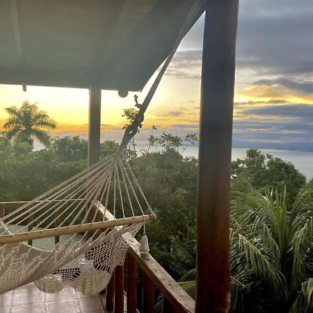 Mizaru Ocean View Hotel Manuel Antonio Quepos Extérieur photo