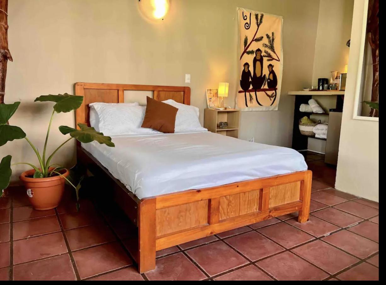 Mizaru Ocean View Hotel Manuel Antonio Quepos Extérieur photo