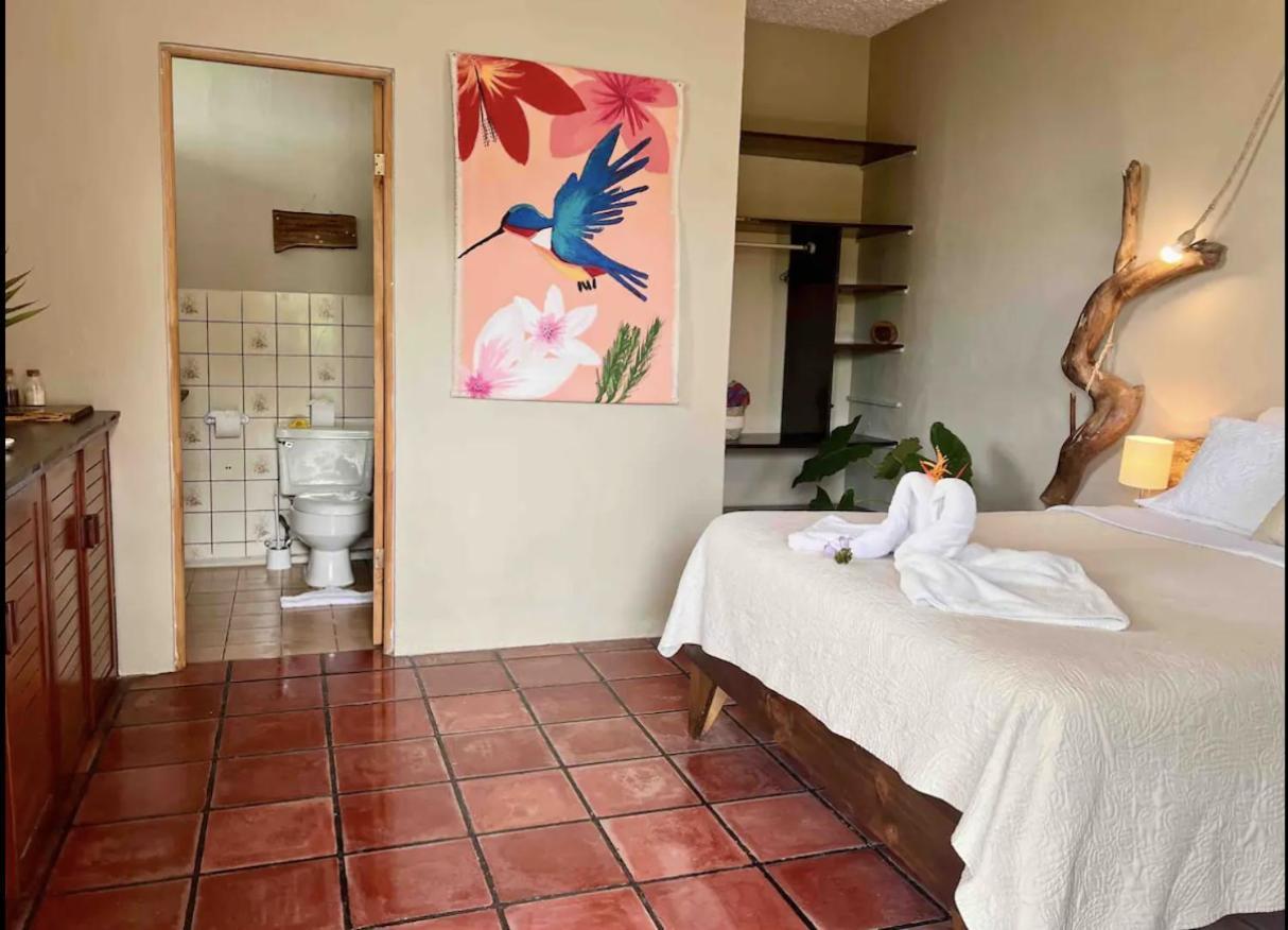 Mizaru Ocean View Hotel Manuel Antonio Quepos Extérieur photo