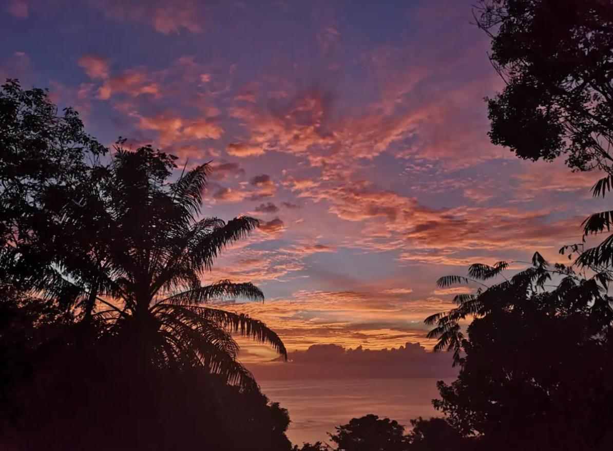 Mizaru Ocean View Hotel Manuel Antonio Quepos Extérieur photo